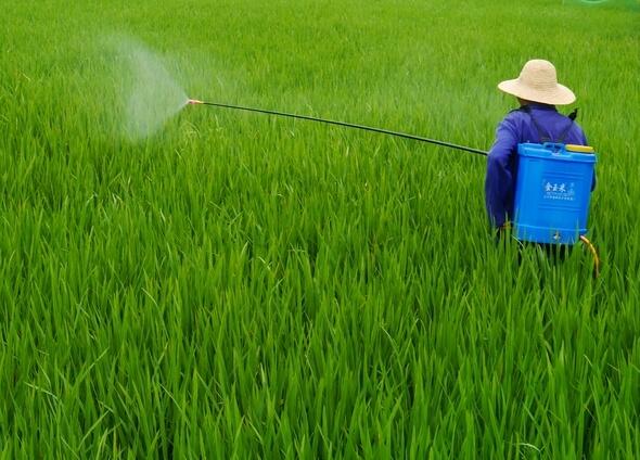 飛防植保、標普農(nóng)業(yè)、全豐航空、飛防服務(wù)