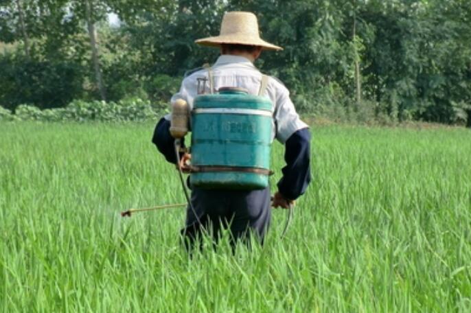 農(nóng)用無(wú)人機(jī)，飛防服務(wù)，植保無(wú)人機(jī)