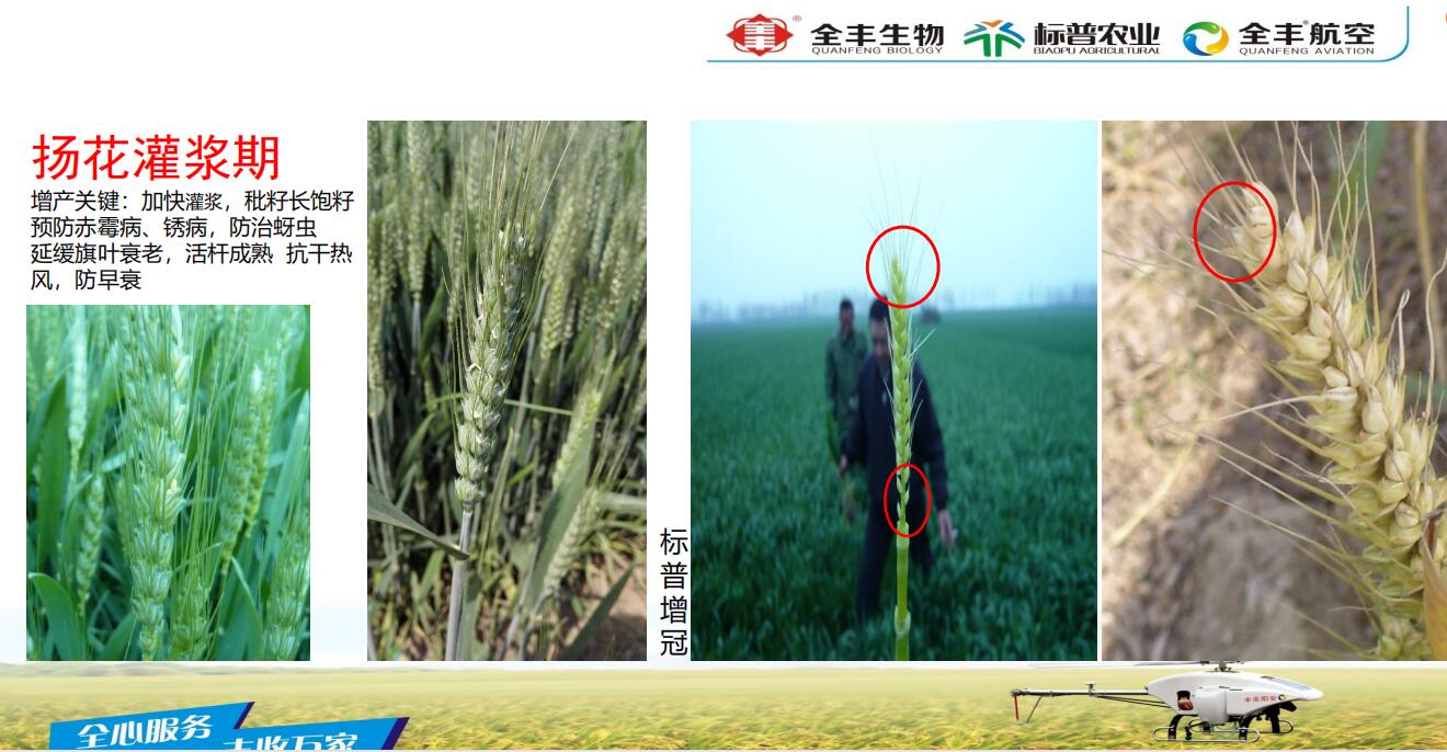 標(biāo)普增冠，