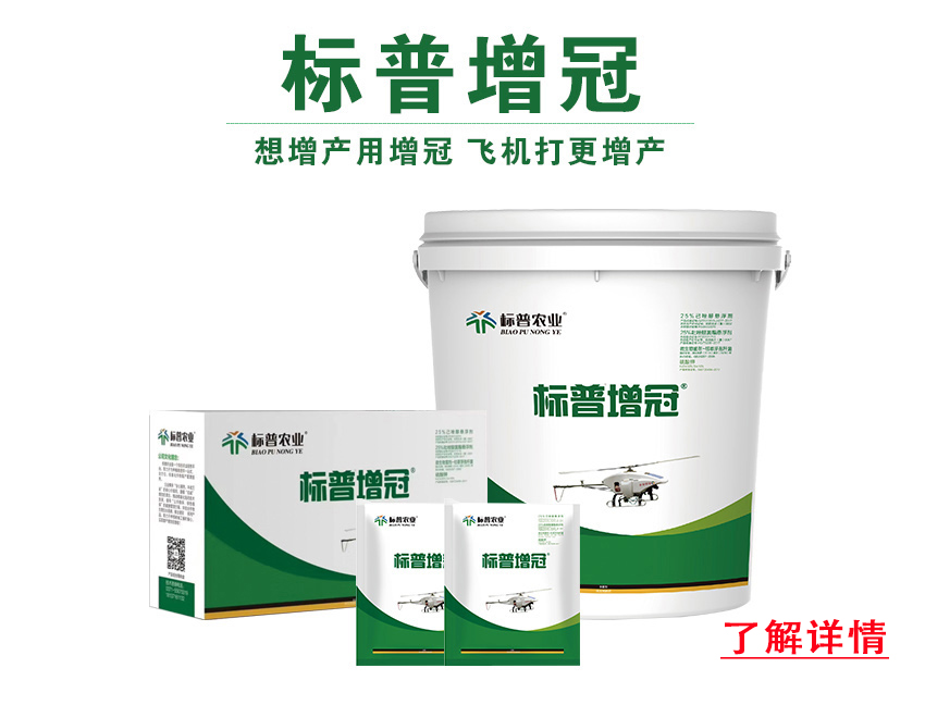 標普增冠1